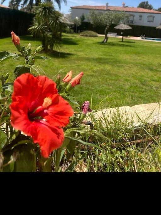 דירות Miami Playa 2Nda Linea Con Piscina En Miami Platja מראה חיצוני תמונה